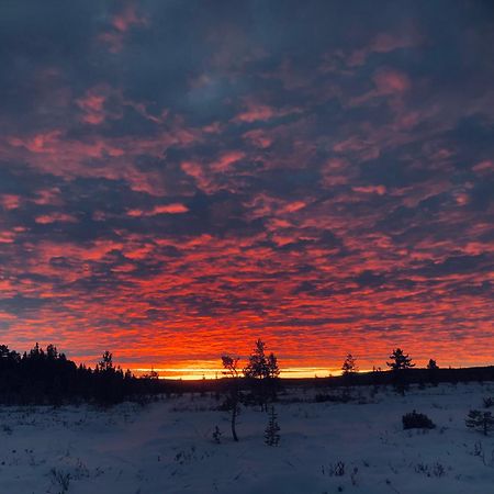 Pasvik Taiga Hotel Skogfoss Bagian luar foto