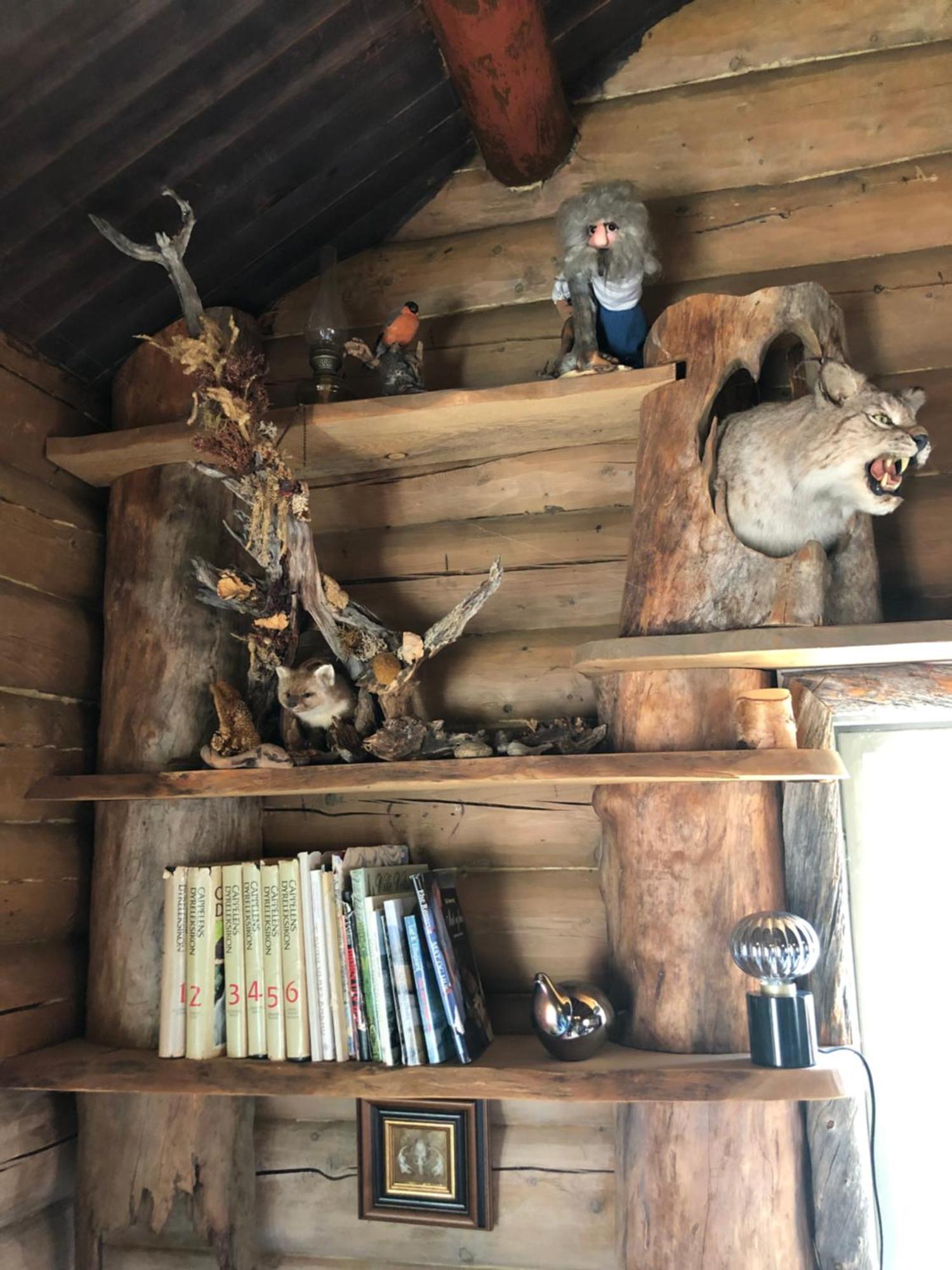 Pasvik Taiga Hotel Skogfoss Bagian luar foto