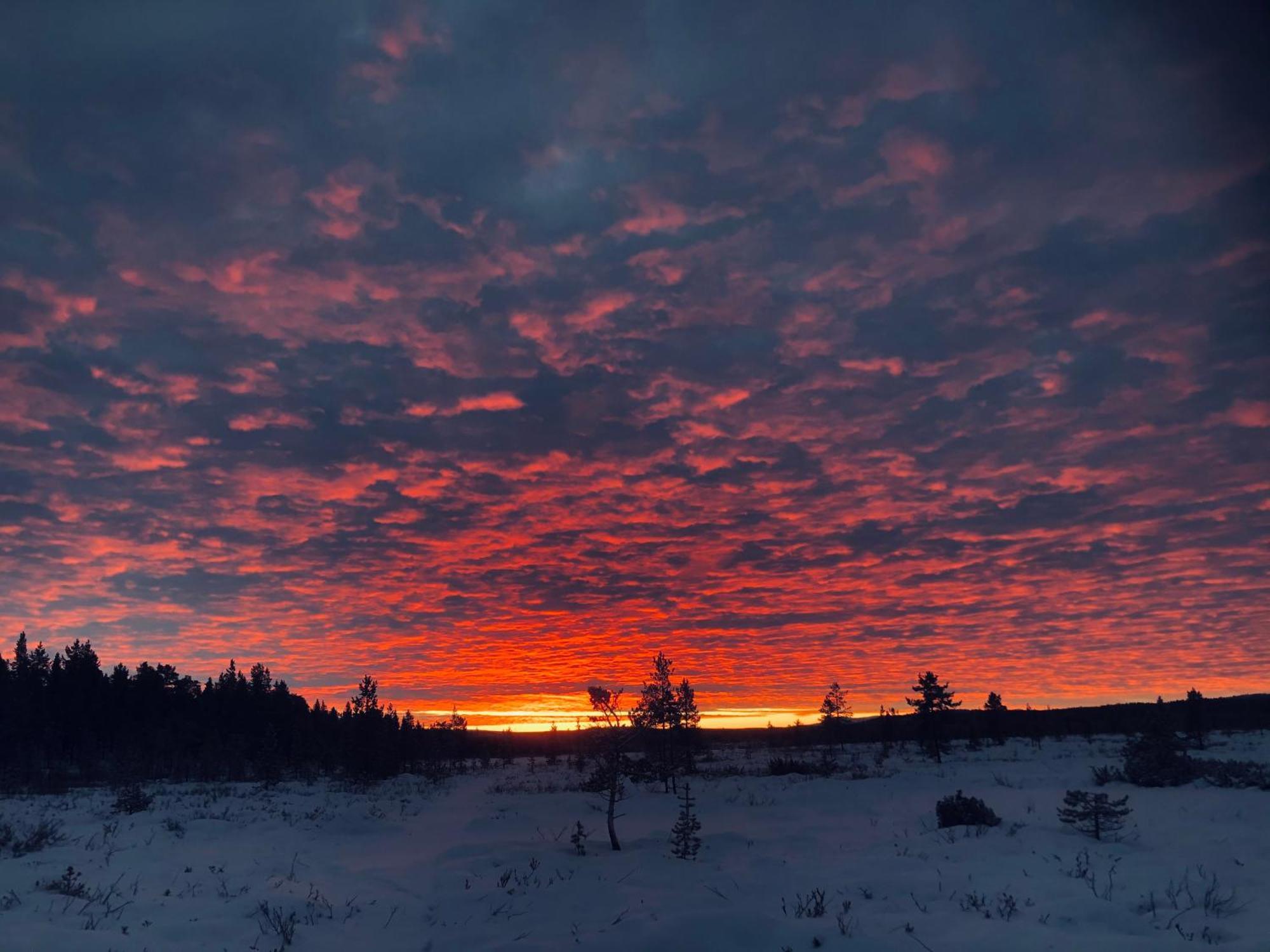 Pasvik Taiga Hotel Skogfoss Bagian luar foto