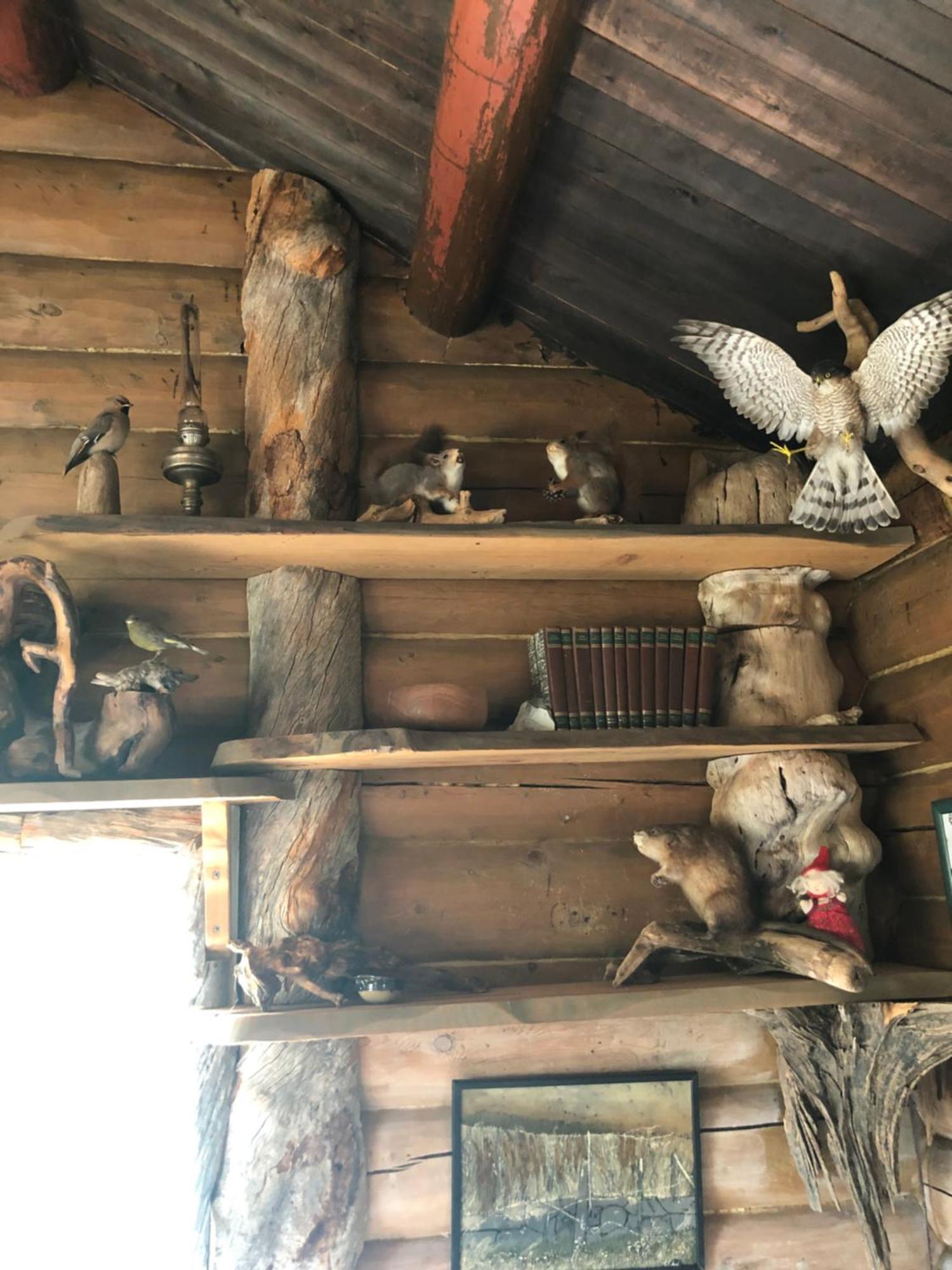 Pasvik Taiga Hotel Skogfoss Bagian luar foto